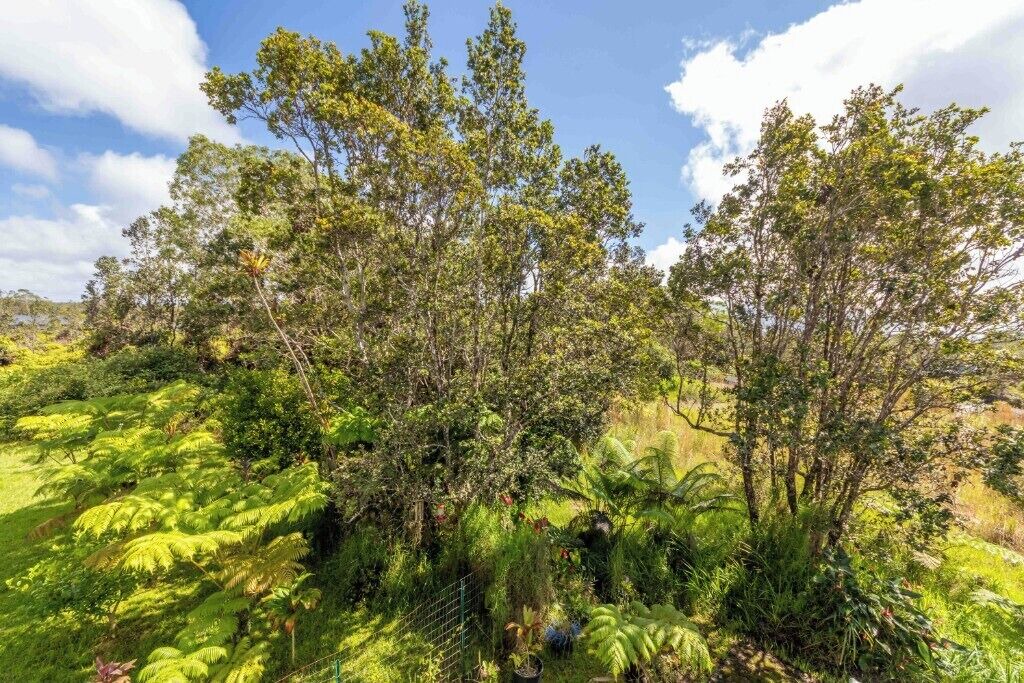 Photo of Outdoor in Royal Hawaiian Estates