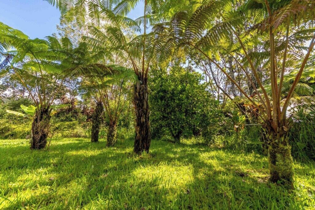 Photo of Outdoor in Royal Hawaiian Estates