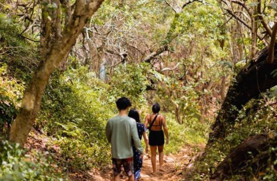 Photo of Outdoor in Princeville