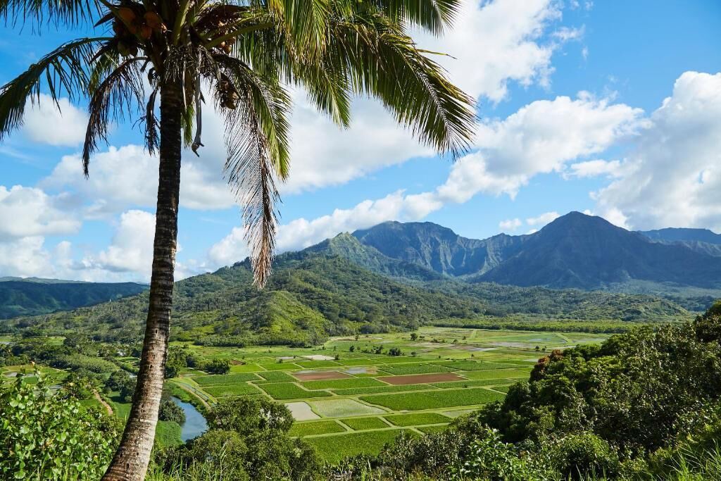 Photo of Outdoor in Princeville