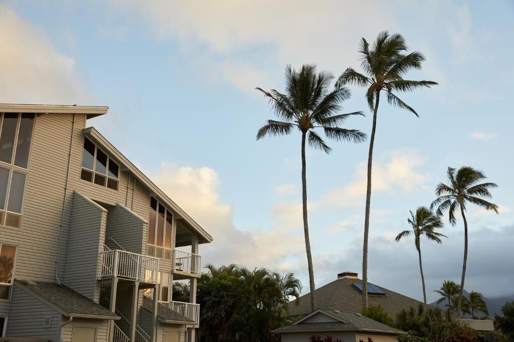 Photo of Outdoor in Princeville