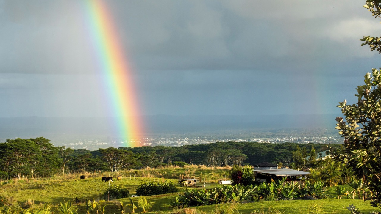 Photo of Others in Hilo