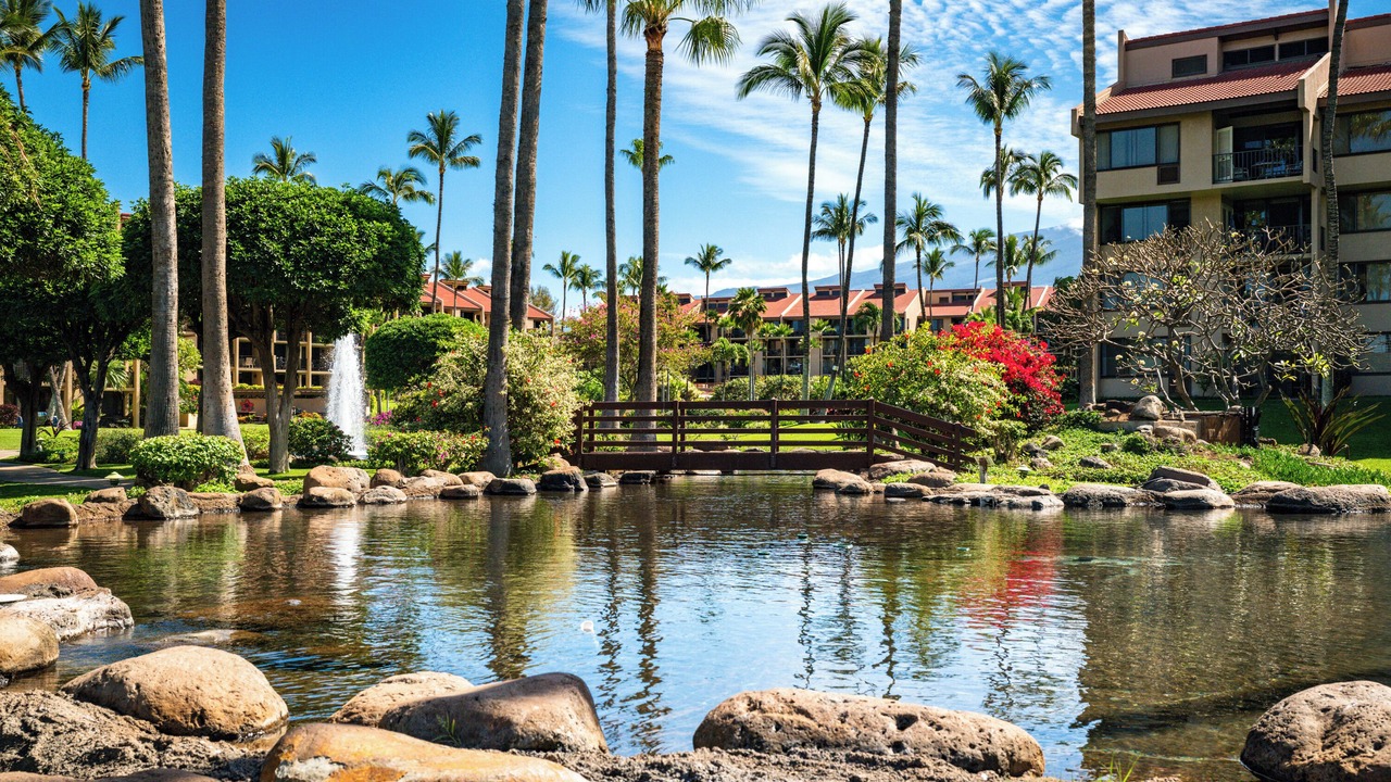Photo of Outdoor in Kihei