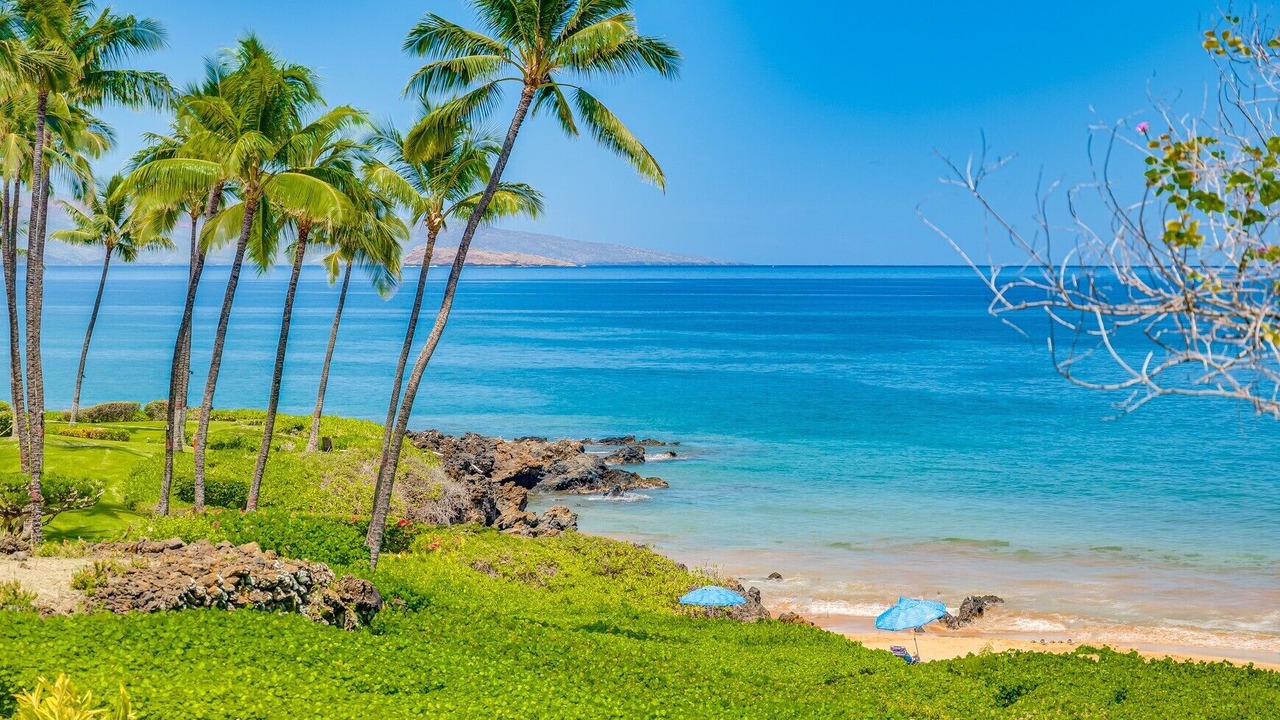 Photo of Outdoor in Wailea