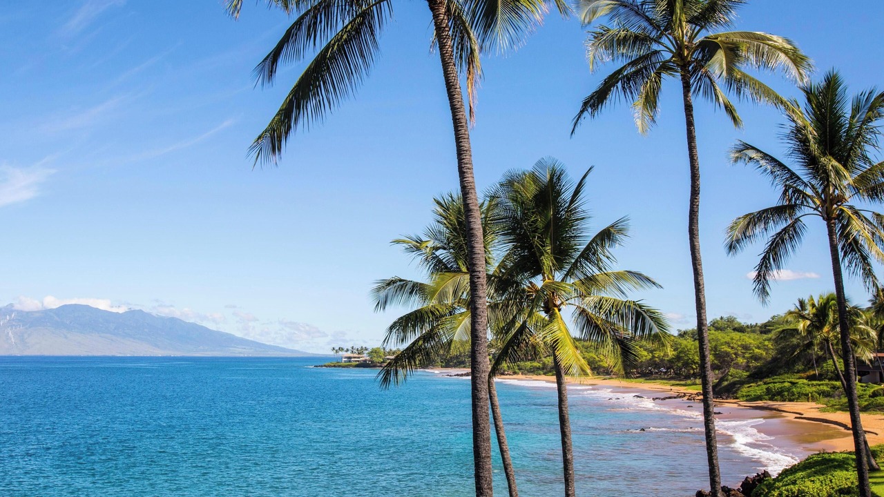 Photo of Outdoor in Wailea