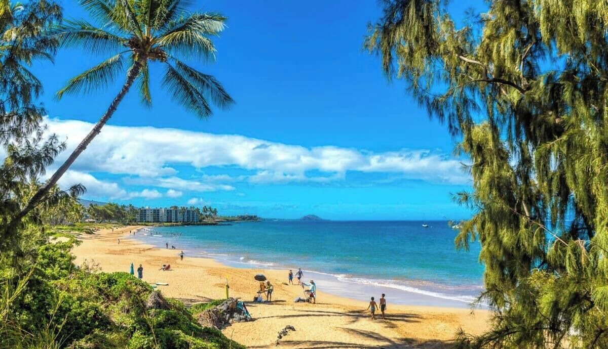 Photo of Others in Kihei