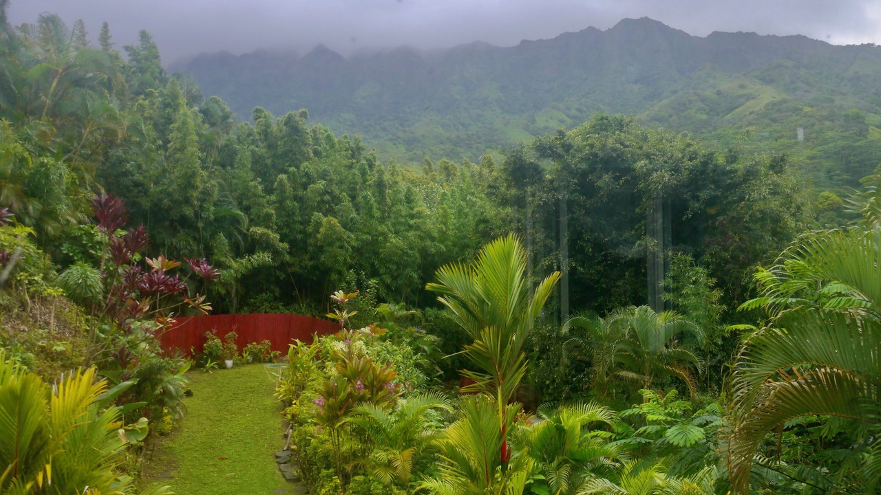 Photo of Outdoor in Wainiha