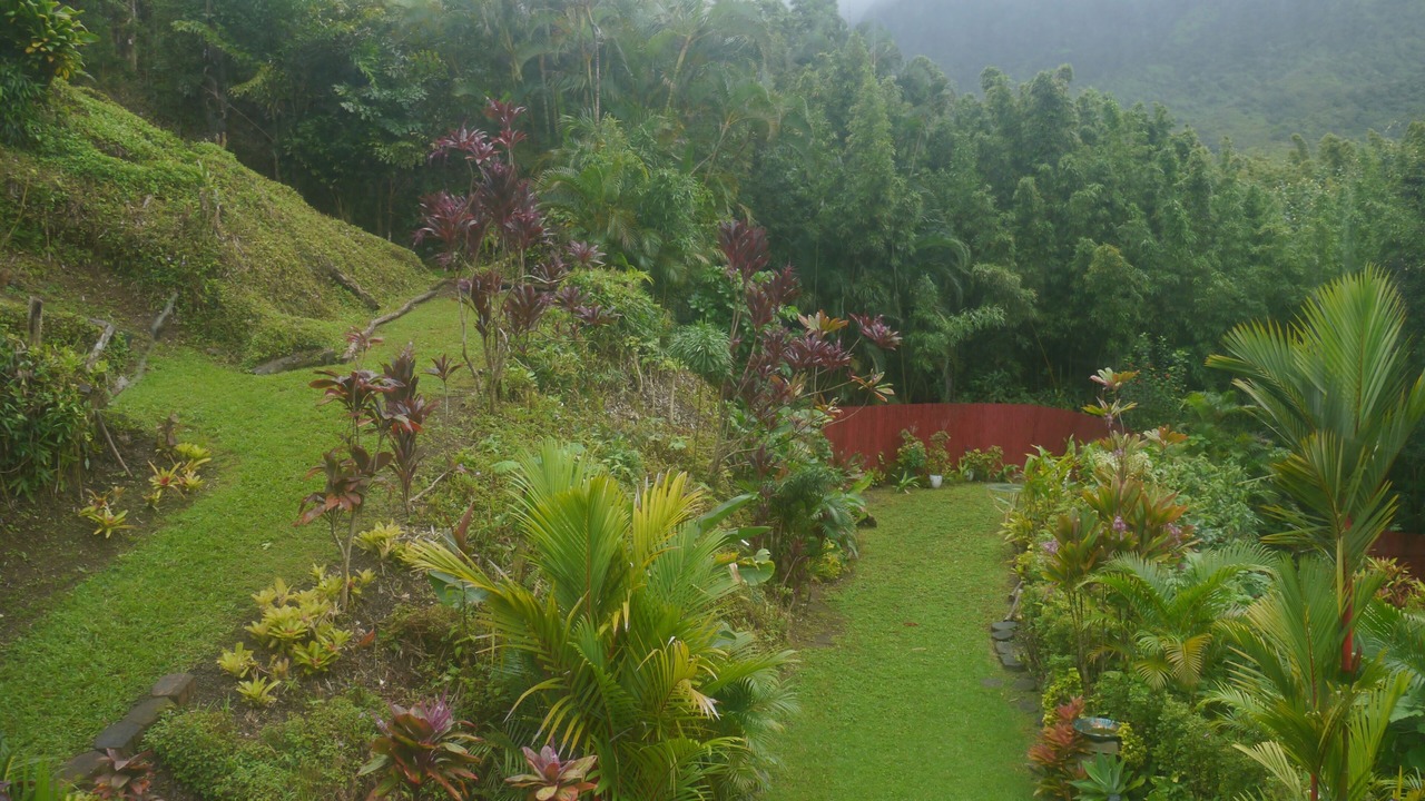 Photo of Outdoor in Wainiha