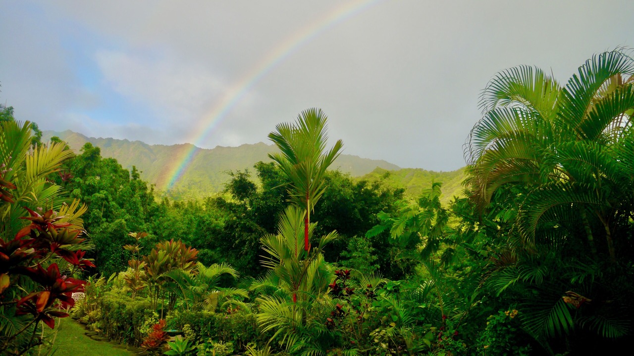 Photo of Others in Wainiha