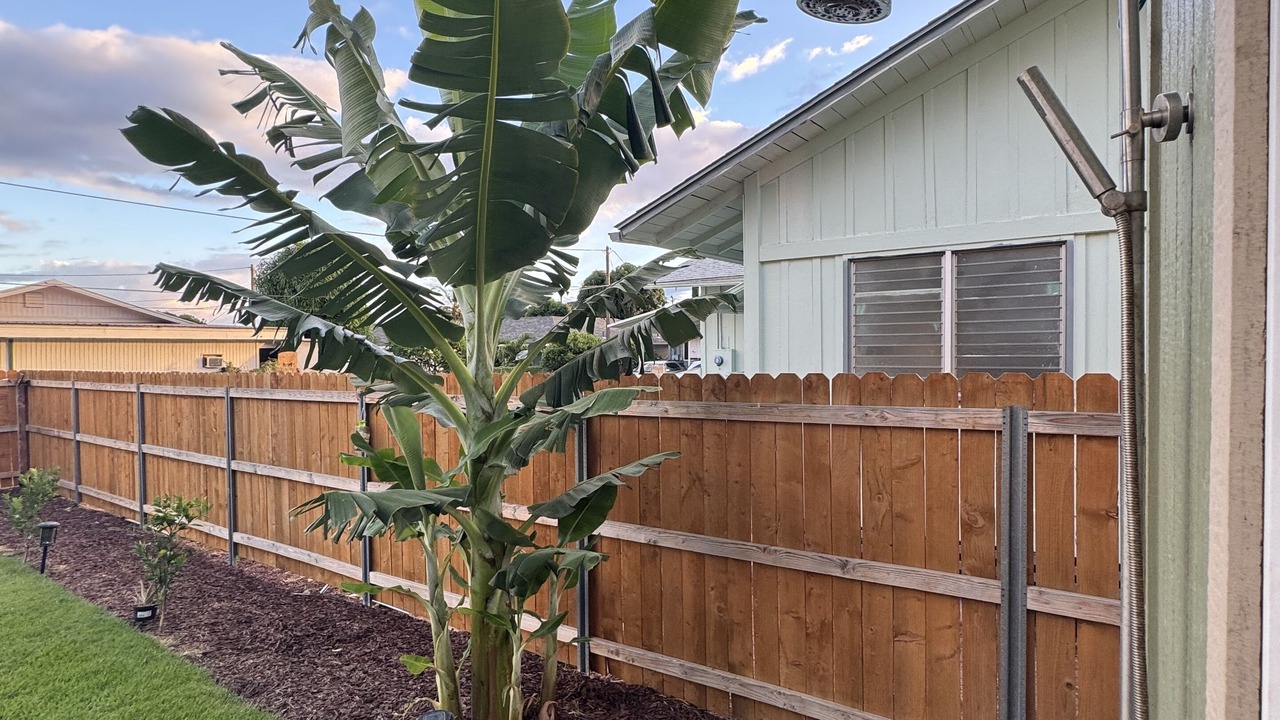 Photo of Outdoor in Makaha