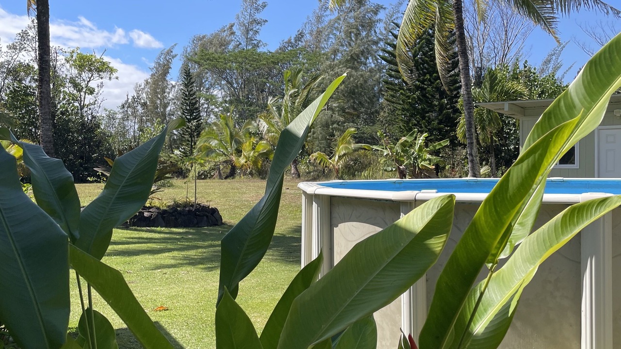 Photo of Outdoor in Keaau