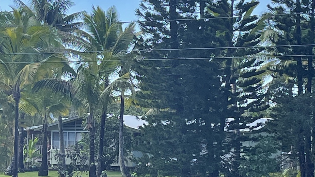 Photo of Outdoor in Keaau