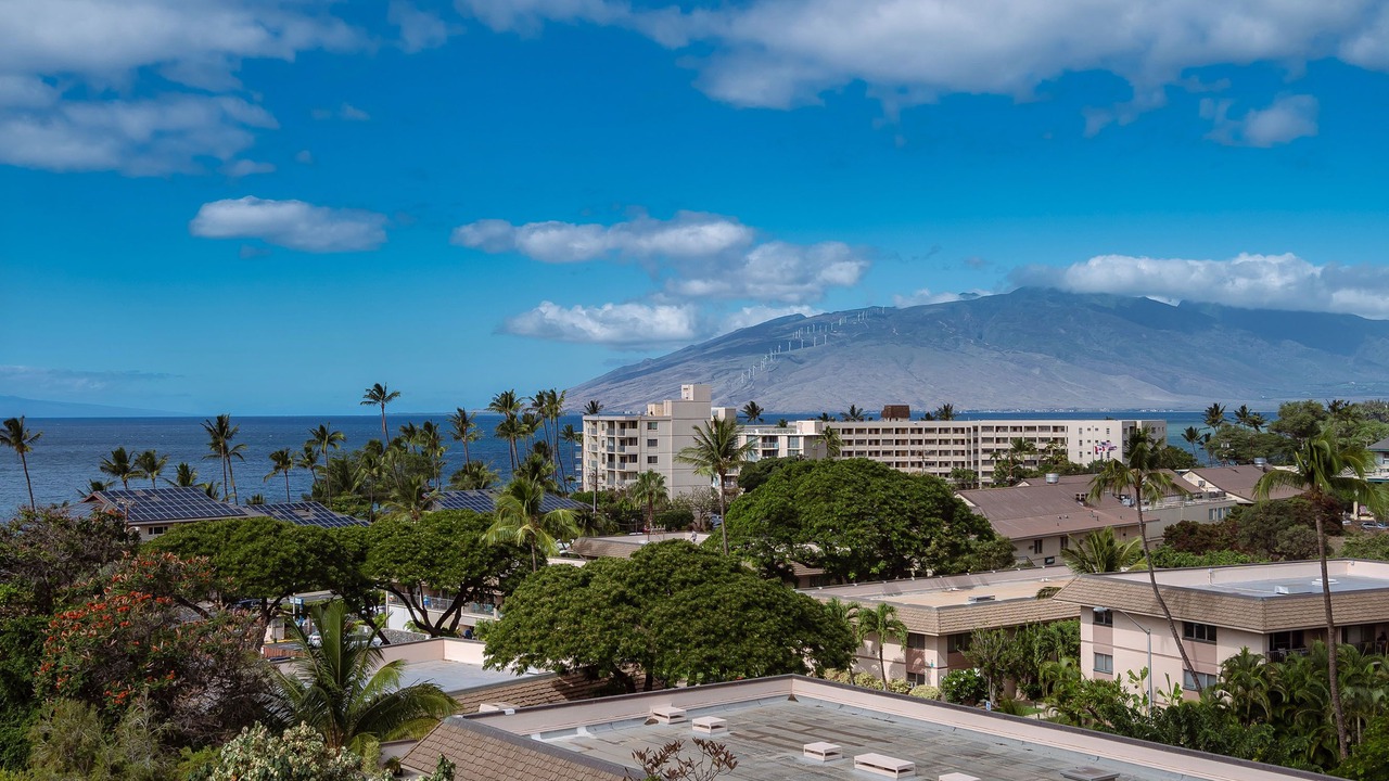 Photo of Others in Kihei