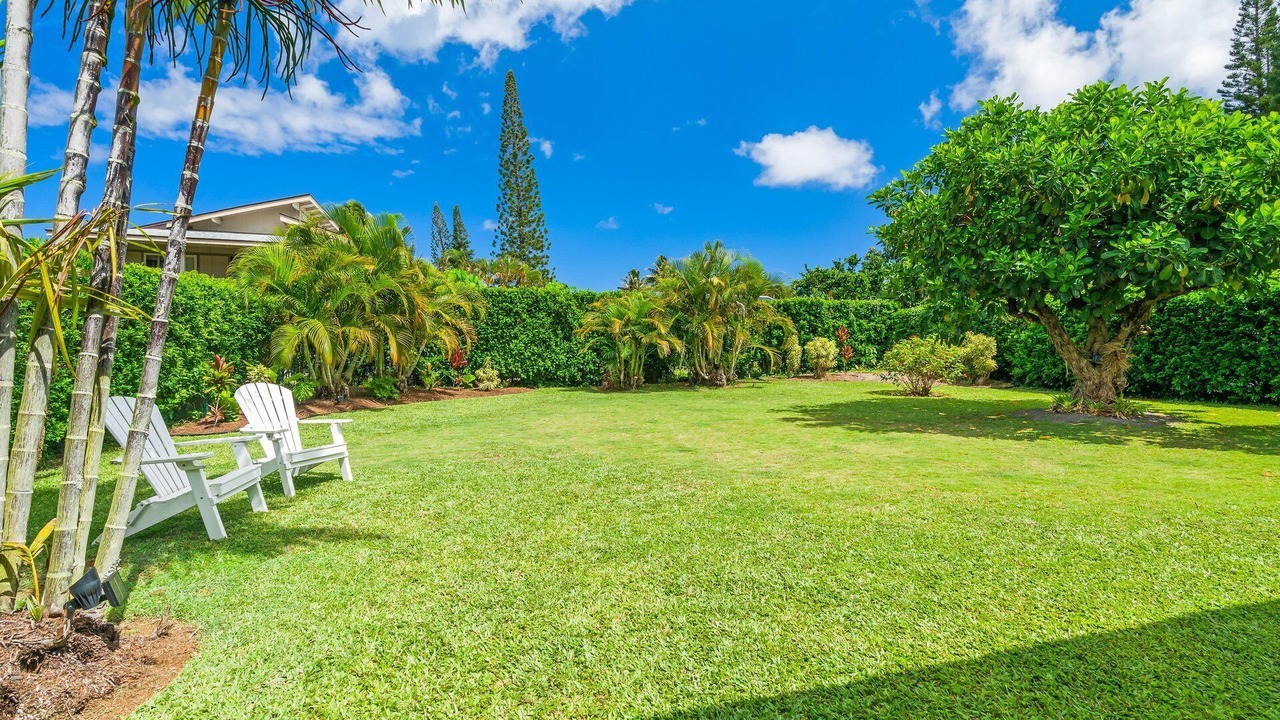 Photo of Outdoor in Princeville