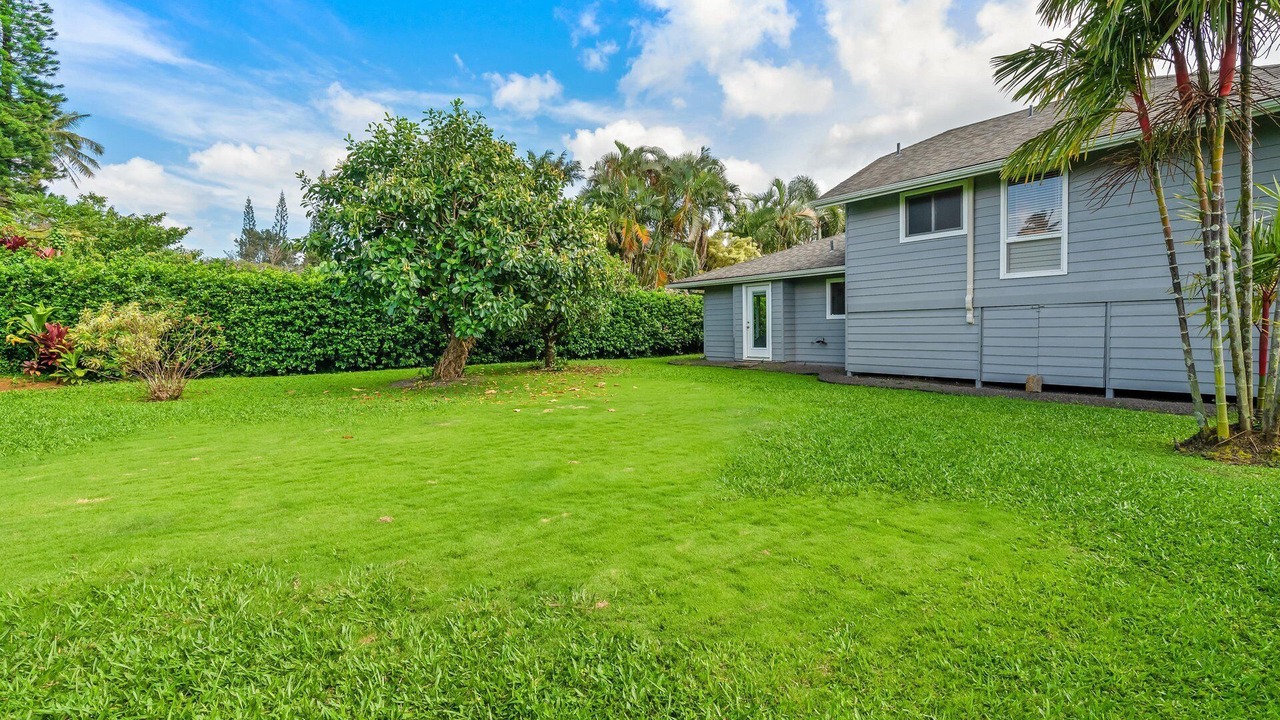 Photo of Outdoor in Princeville