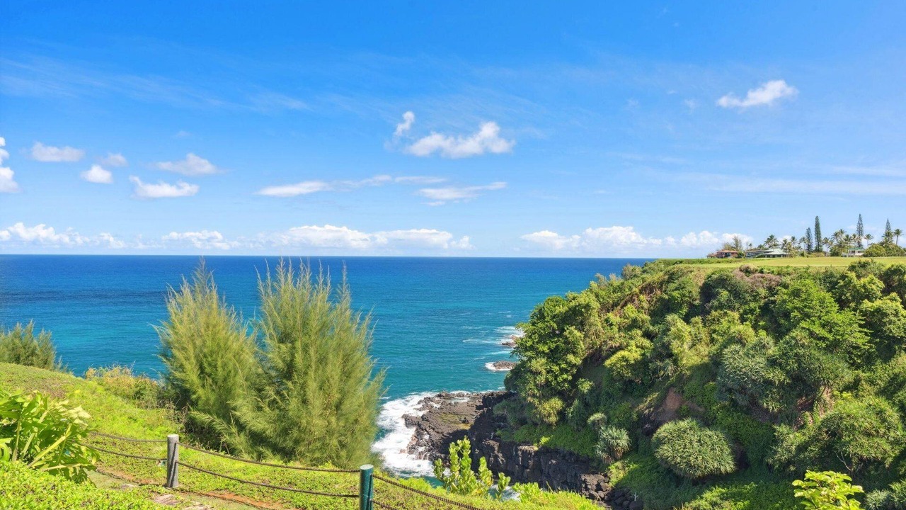 Photo of Others in Princeville