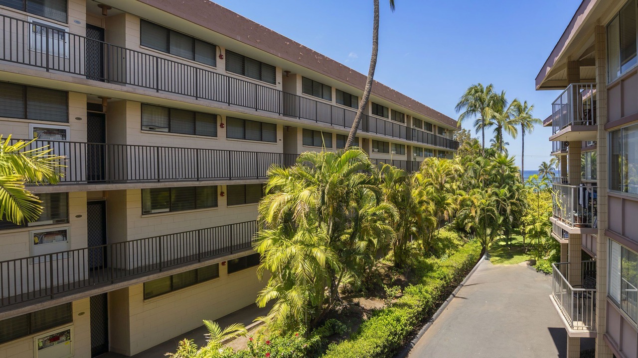 Photo of Outdoor in Kihei