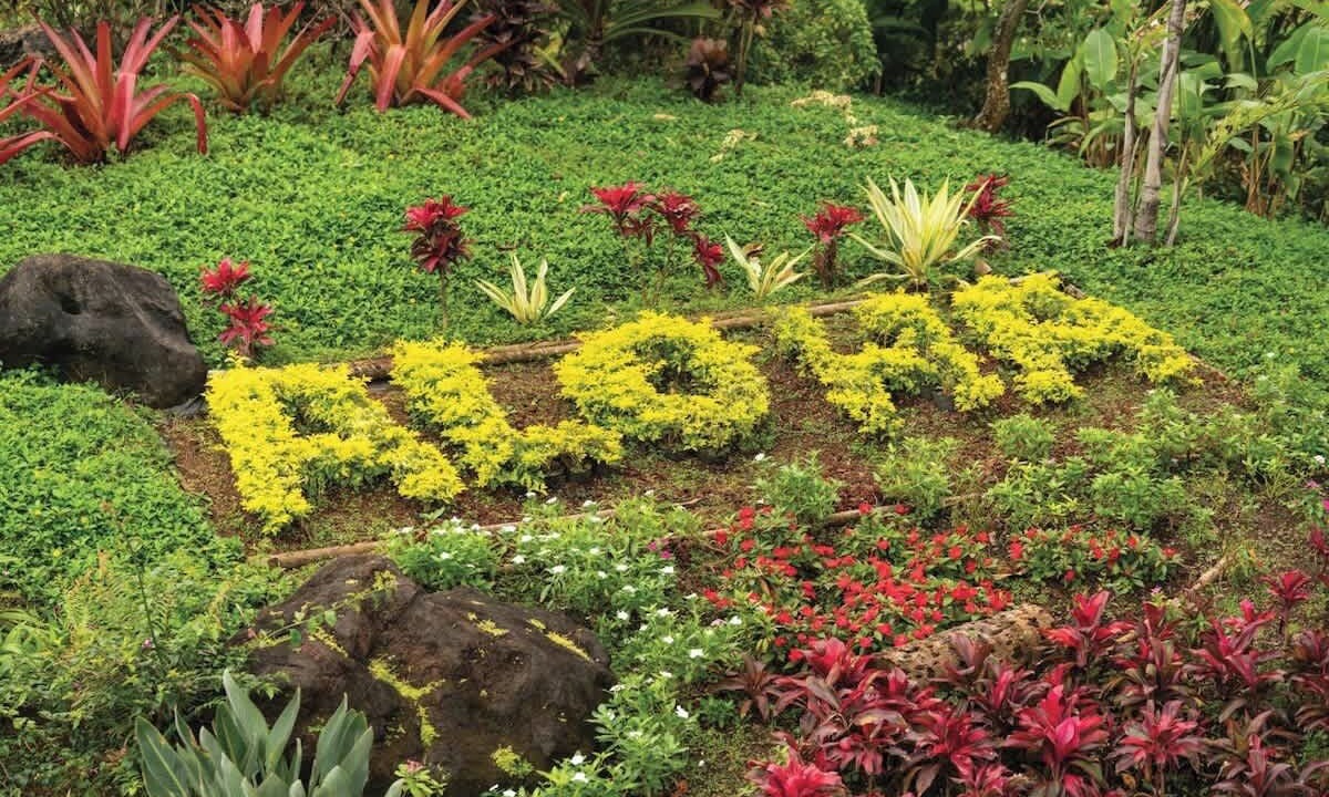 Photo of Outdoor in Wailua
