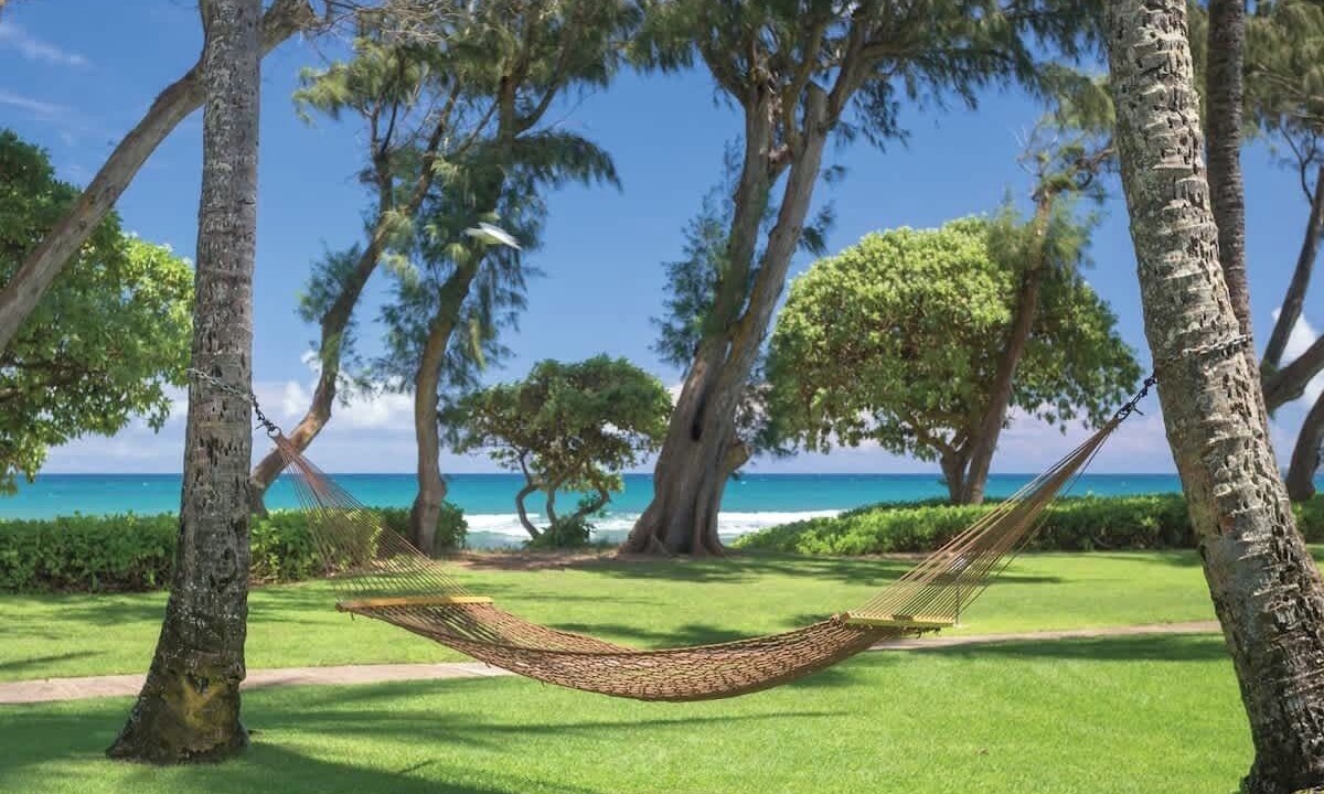 Photo of Outdoor in Wailua