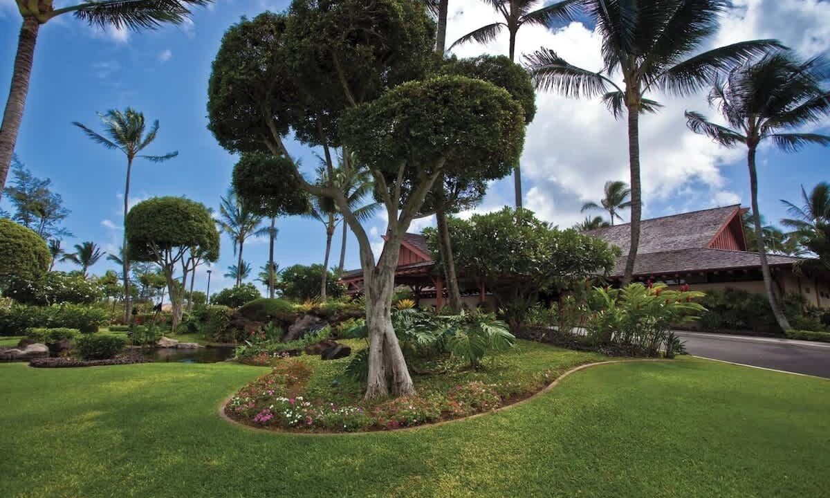 Photo of Outdoor in Wailua