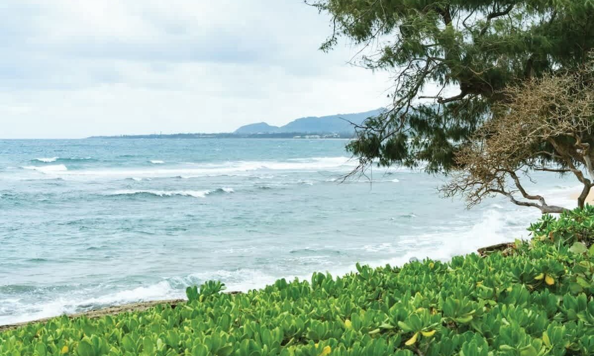 Photo of Others in Wailua