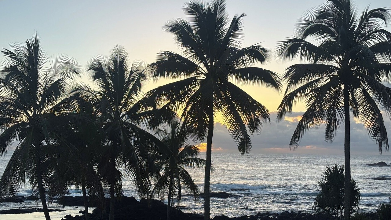 Photo of Others in Hilo