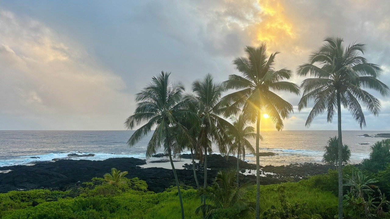 Photo of Others in Hilo