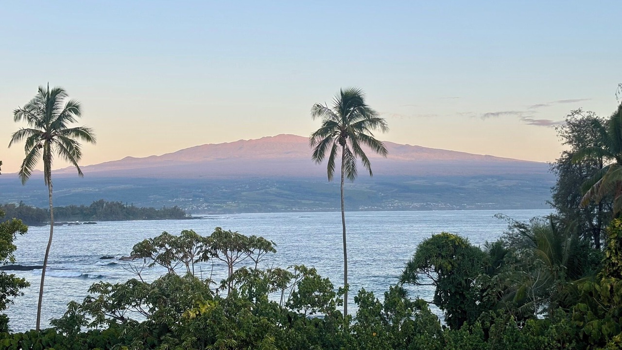 Photo of Others in Hilo