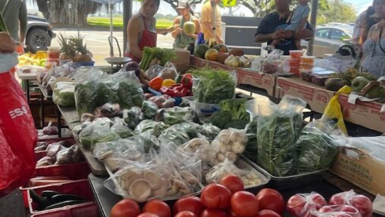 Photo of Others in Hilo