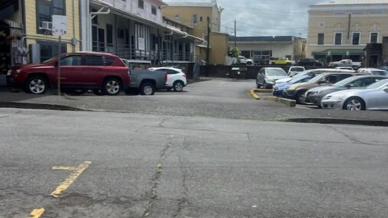 Photo of Others in Hilo