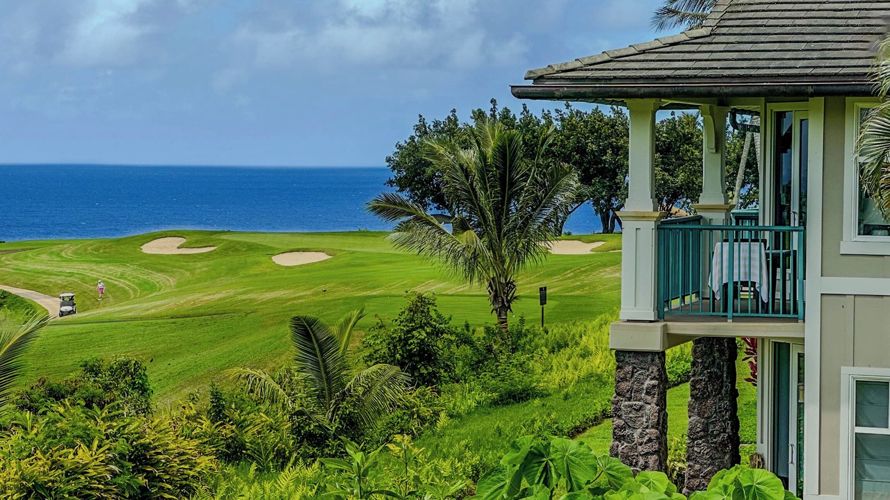 Photo of Others in Princeville