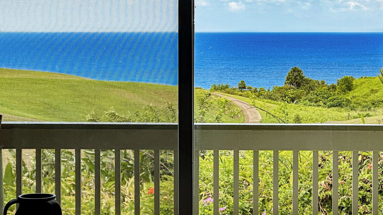 Photo of Others in Princeville