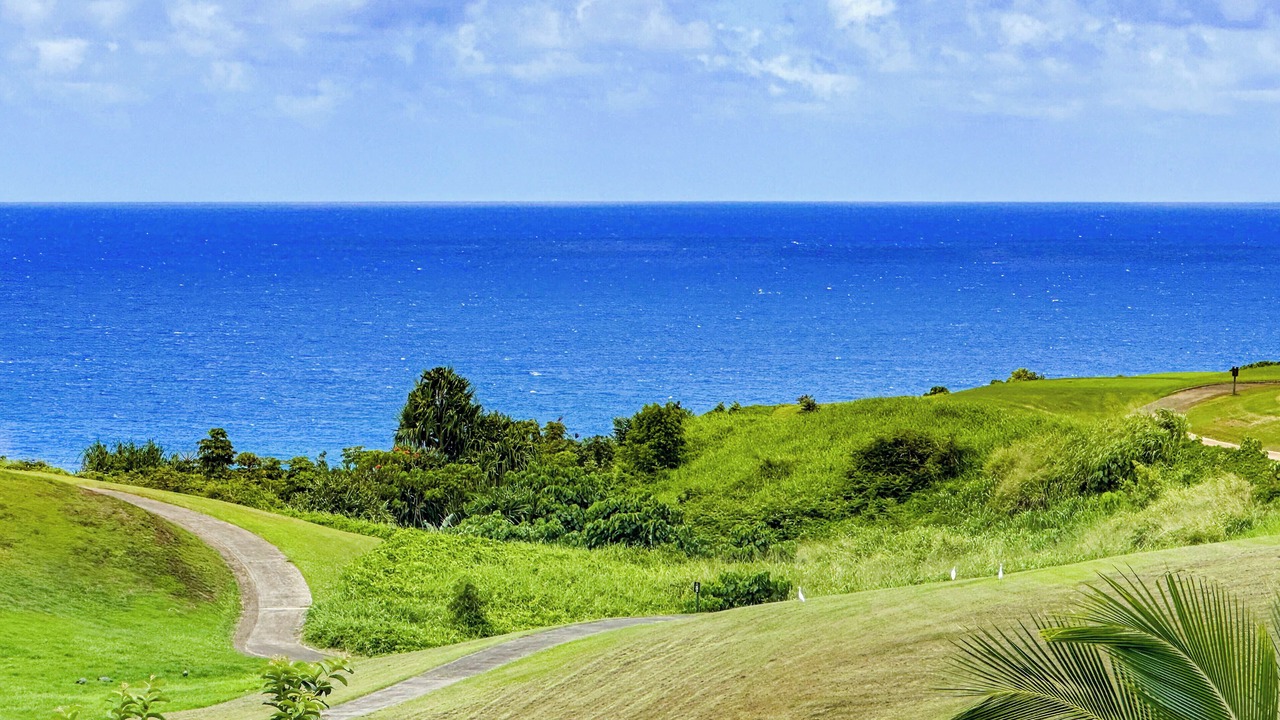 Photo of Others in Princeville