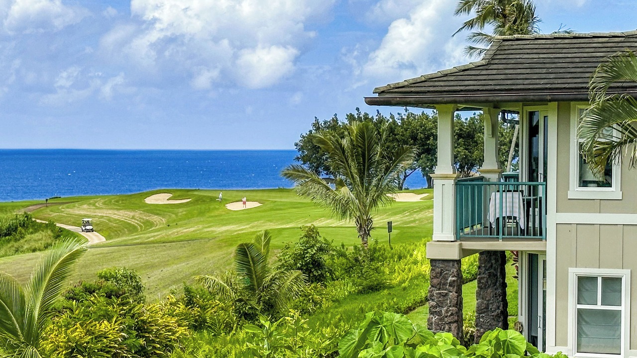 Photo of Others in Princeville