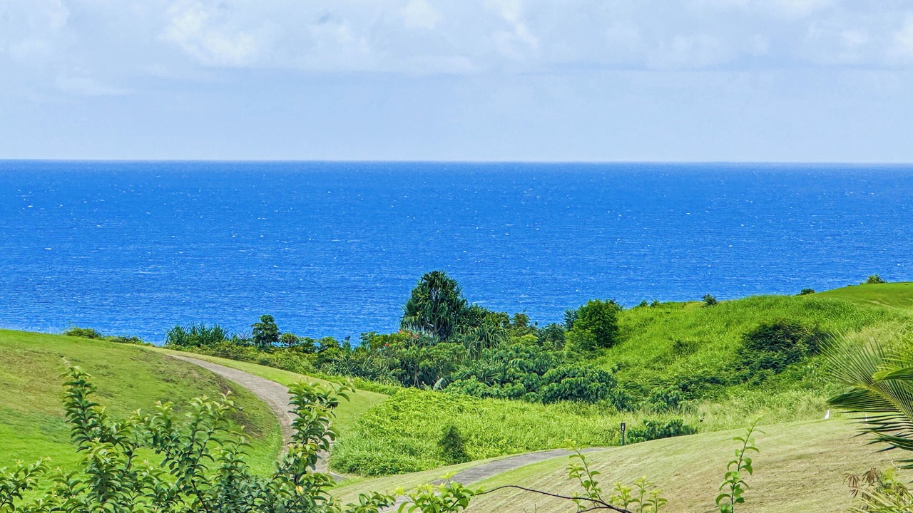 Photo of Others in Princeville