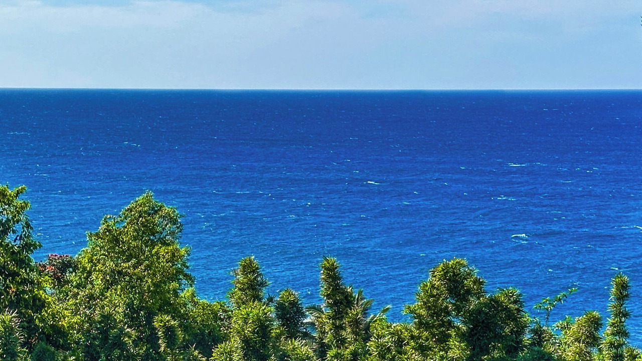 Photo of Others in Princeville