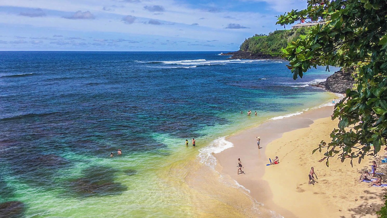 Photo of Others in Princeville