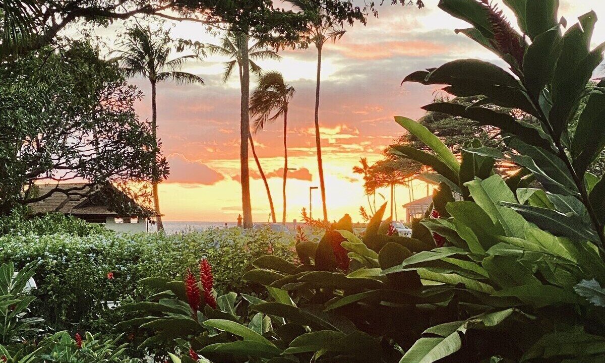 Photo of Others in Poipu