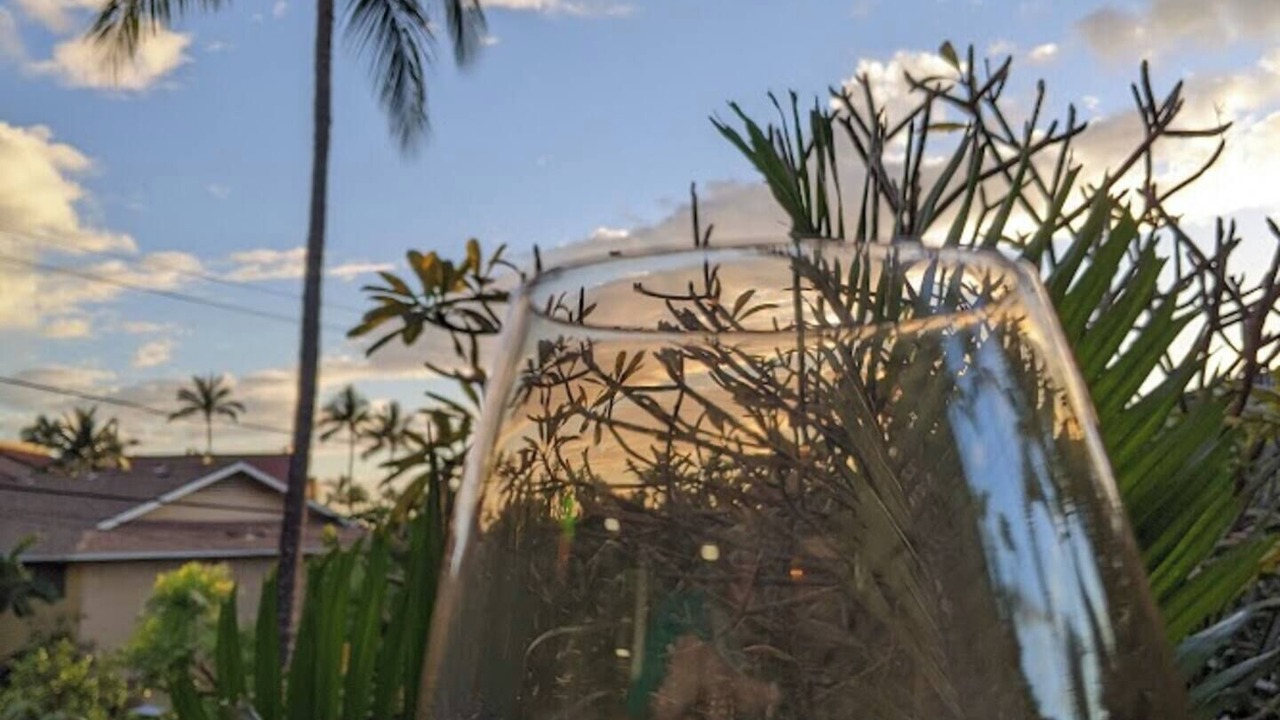Photo of Others in Kihei