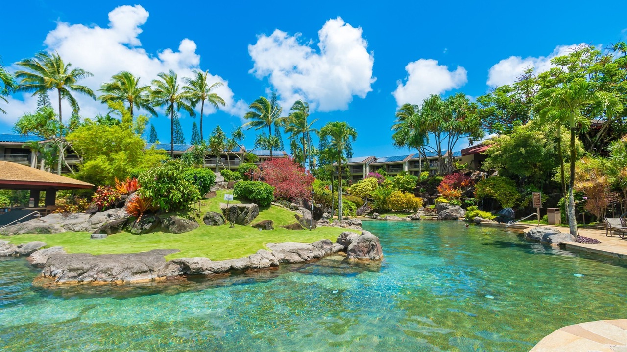 Photo of Outdoor in Princeville