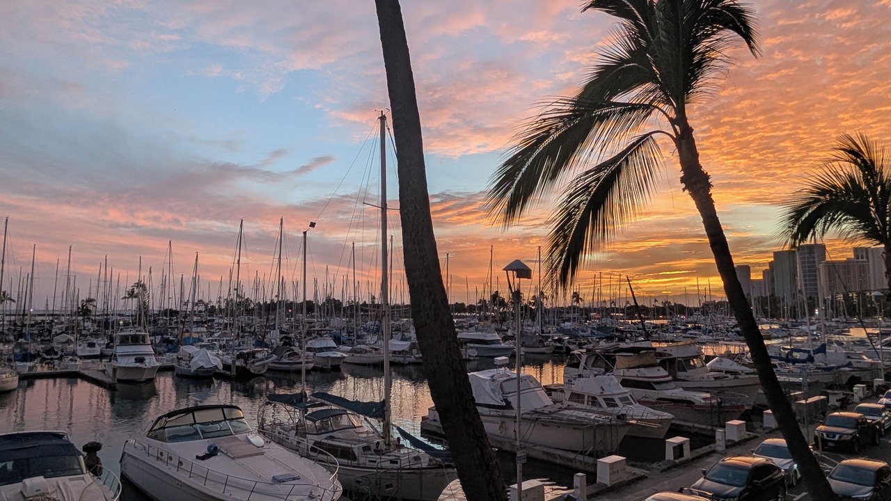 Photo of Others in Waikiki