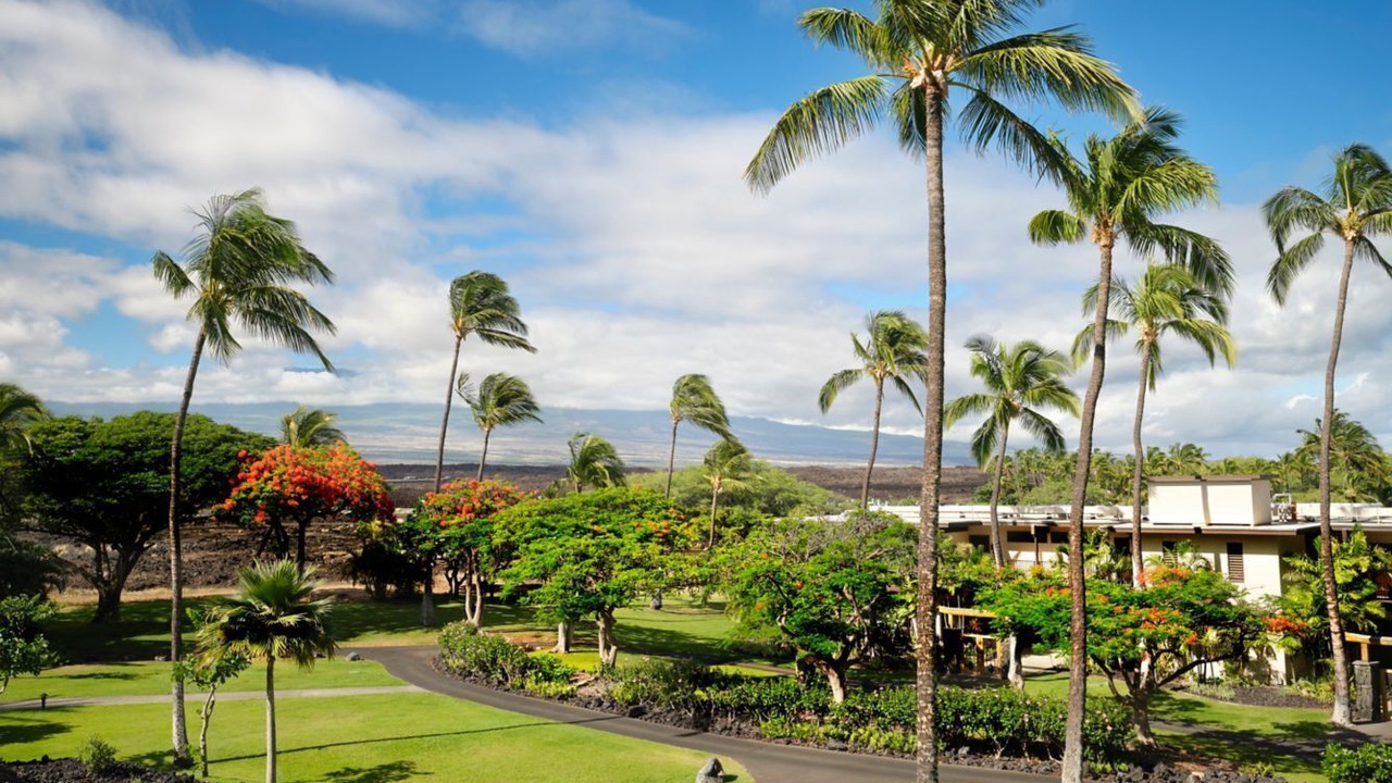 Photo of Outdoor in Waikoloa