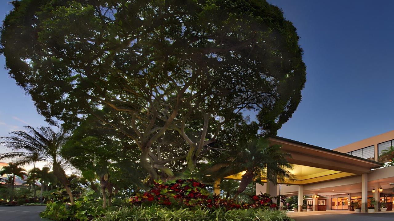 Photo of Outdoor in Lahaina
