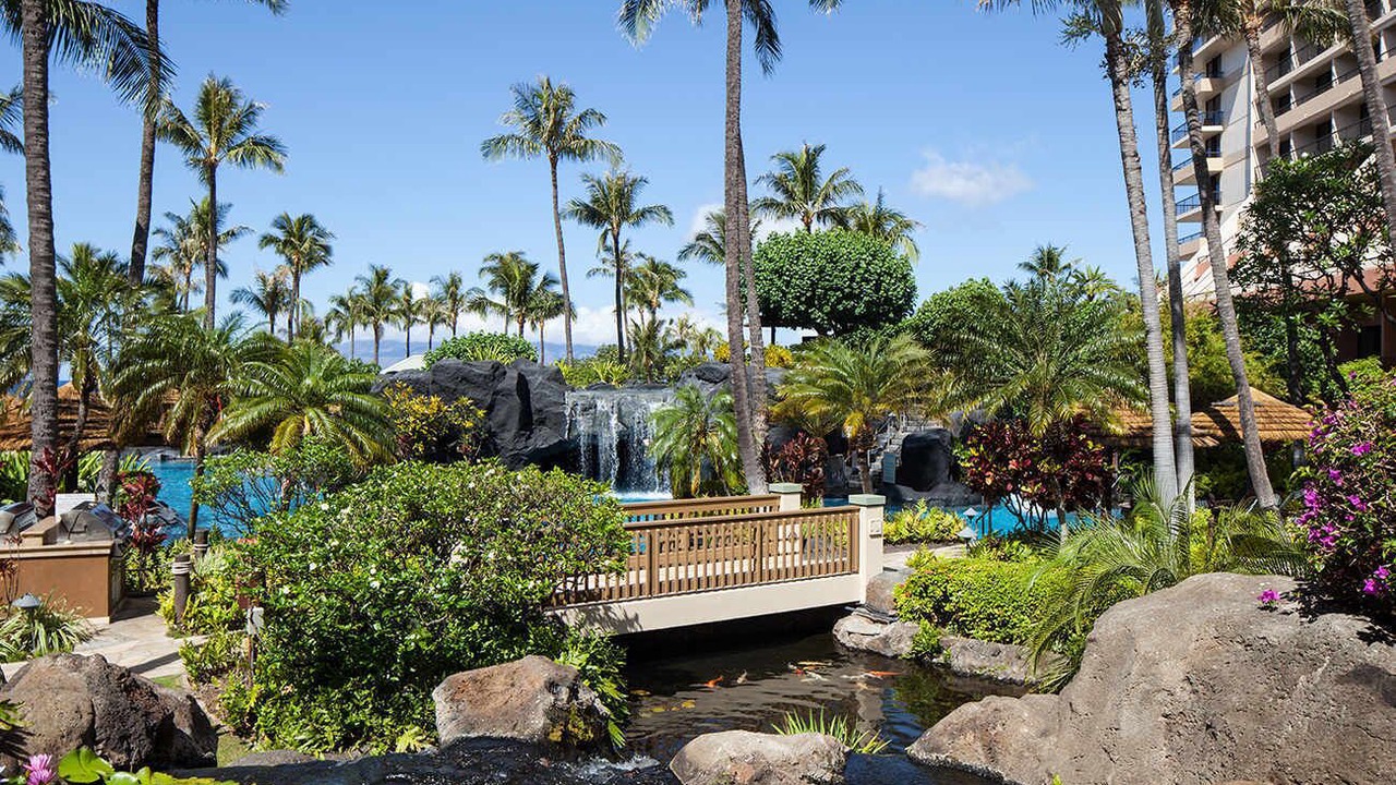Photo of Others in Kaanapali