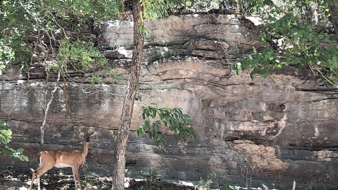 Photo of Others in Sylvan Shores