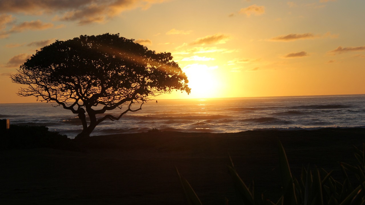 Photo of Others in Hanamaulu