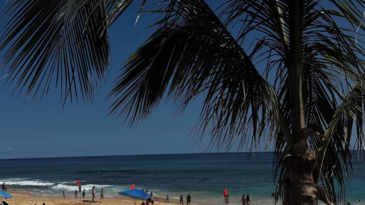 Photo of Others in Waikiki