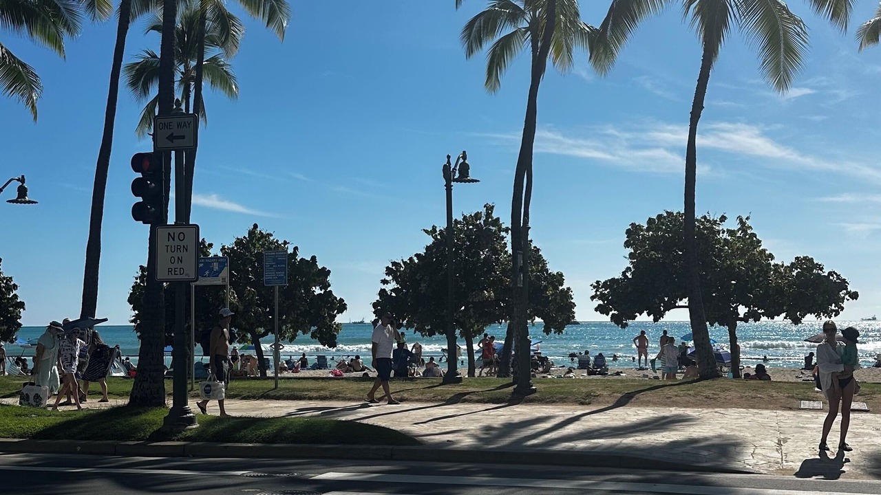 Photo of Others in Waikiki