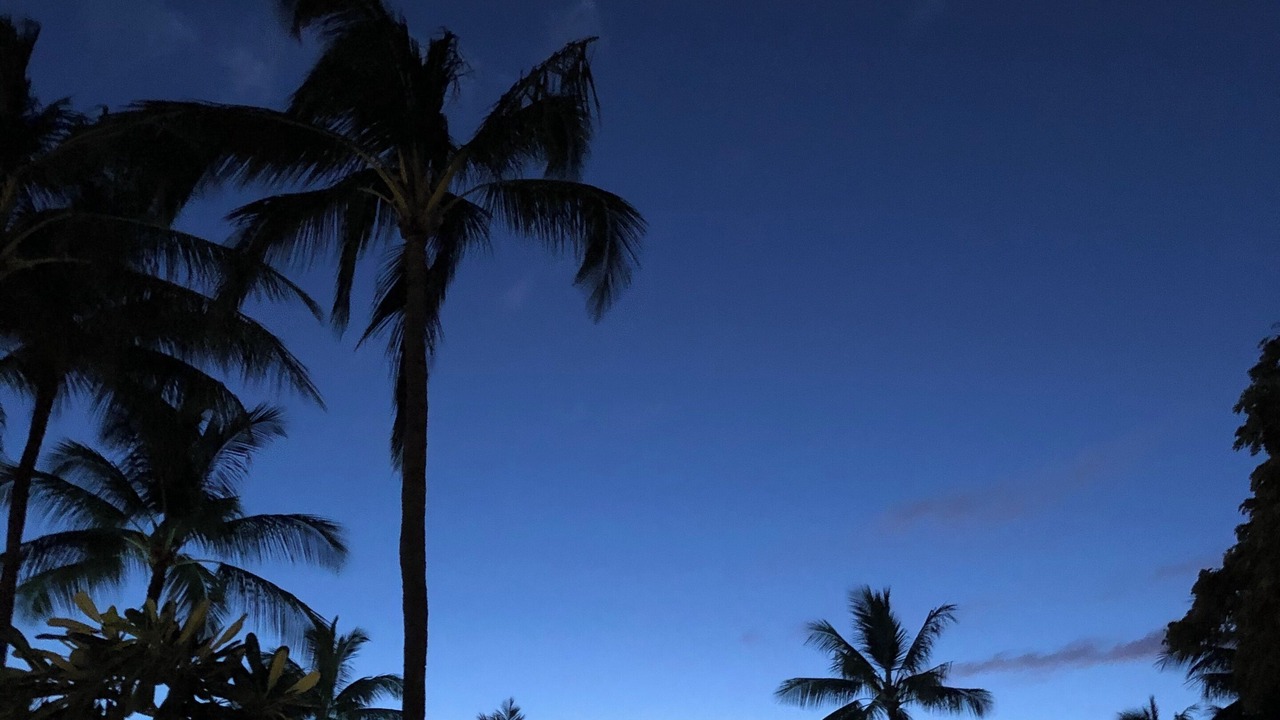 Photo of Outdoor in Kaanapali
