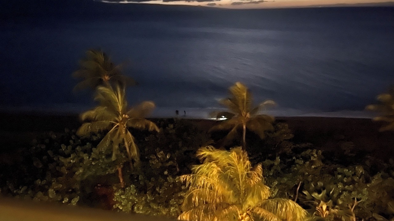 Photo of Others in Kaanapali